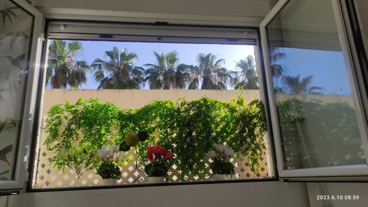 Rosalia Playa San Cristobal Wifi Netflix Apartment Almunecar