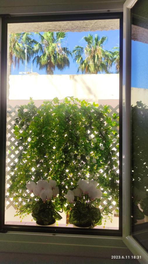 Rosalia Playa San Cristobal Wifi Netflix